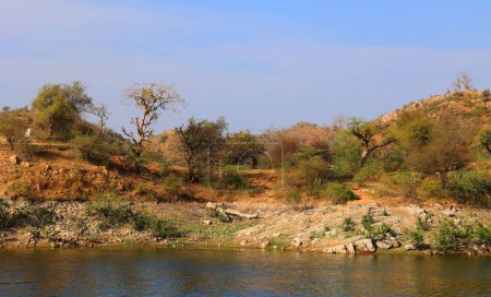 Foto de Rajastán paisaje en la India cerca de Jodhpur - Imagen libre de derechos