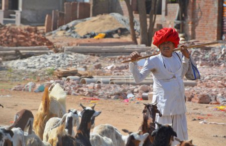 Téléchargez les photos : RURAL RAJASTHAN INDIA - 02 15 2023 : Un homme de la tribu Rajasthani portant un turban coloré traditionnel et apporte son troupeau de chèvres - en image libre de droit