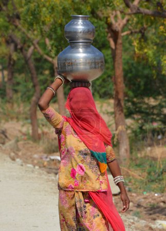 Photo for RURAL RAJASTHAN INDIA - 02 13 2023: Tribal life village life women carrying water in pots on head summer water shortage - Royalty Free Image