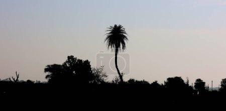 Photo for Rajasthan landscape in India near Jodhpur - Royalty Free Image
