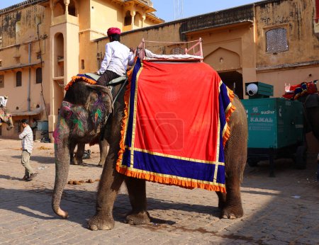 Téléchargez les photos : AMBER RAJASTHAN INDIA - 02 27 2023 : Fort Amer ou Fort Amber. Éléphant décoré et cavalier éléphant attendant les touristes - en image libre de droit