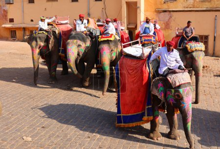 Photo for AMBER RAJASTHAN INDIA - 02 27 2023: Amer Fort or Amber Fort. Decorated elephants and elephant riders waiting for tourists - Royalty Free Image