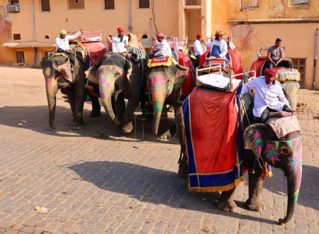 Téléchargez les photos : AMBER RAJASTHAN INDIA - 02 27 2023 : Fort Amer ou Fort Amber. Éléphants décorés et cavaliers d'éléphants attendant les touristes - en image libre de droit