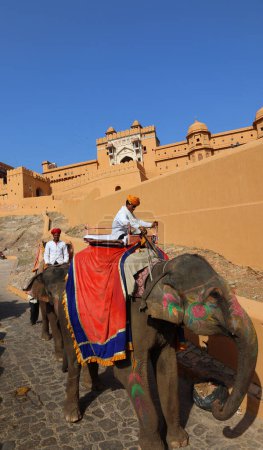 Foto de AMBER RAJASTHAN INDIA - 02 27 2023: Amer Fort o Amber Fort. Elefantes y jinetes de elefantes decorados esperando a los turistas - Imagen libre de derechos