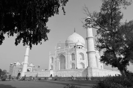 Foto de TAJ MAHAL UTTAR PRADESH INDIA - 03 01 2023: Vista del Taj Mahal al amanecer es un mausoleo de mármol blanco marfil en la orilla derecha del río Yamuna en Agra - Imagen libre de derechos