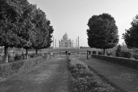 Téléchargez les photos : TAJ MAHAL UTTAR PRADESH INDIA - 03 01 2023 : Vue du Taj Mahal au coucher du soleil est un mausolée en marbre blanc ivoire sur la rive droite de la Yamuna à Agra - en image libre de droit