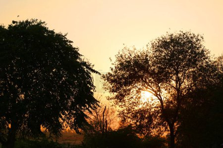 Téléchargez les photos : Coucher de soleil sur la forêt Agra. Uttar Pradesh. Inde. - en image libre de droit