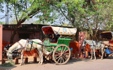 Téléchargez les photos : AGRA UTTAR PRADESH INDIA - 03 01 2023 : Chariots à chevaux traditionnels ou tangas comme mode de transport commun en Asie du Sud. Les tangas sont souvent décorés dans des couleurs vives avec beaucoup de pompons colorés - en image libre de droit