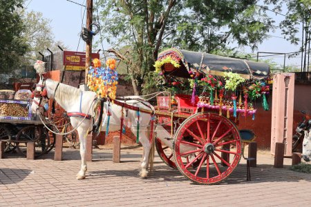 Photo for AGRA UTTAR PRADESH INDIA - 03 01 2023: Traditional horse carriages or tangas a common mode of transportation in South Asia. Tangas are often decorated in bright colors with lots of colorful pompoms - Royalty Free Image