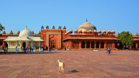 Téléchargez les photos : FATEHPUR SIKRI INDE - 03 01 2023 : Mosquée Marbre Jama Masjid, Fatehpur Sikri est une ville de l'Uttar Pradesh, en Inde. Fatehpur Sikri elle-même a été fondée comme capitale de l'Empire moghol - en image libre de droit