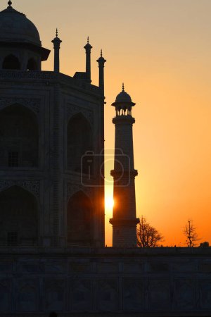 Foto de TAJ MAHAL UTTAR PRADESH INDIA - 03 01 2023: Vista del Taj Mahal al amanecer es un mausoleo de mármol blanco marfil en la orilla derecha del río Yamuna en Agra - Imagen libre de derechos