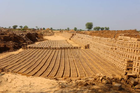 Photo for UTTAR PRADESH INDIA - 03 01 2023: Raw brick laid out in stacks for drying. Bricks in a brick factory. Traditional production of clay bricks in India. - Royalty Free Image
