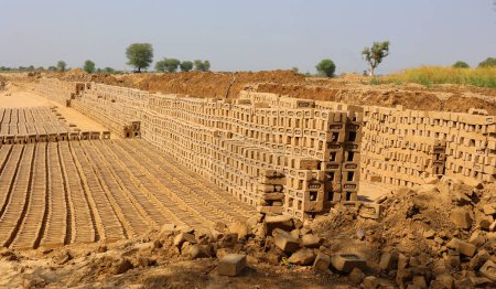 Foto de UTTAR PRADESH INDIA - 03 01 2023: Ladrillo crudo en pilas para secar. Ladrillos en una fábrica de ladrillos. Producción tradicional de ladrillos de arcilla en la India. - Imagen libre de derechos