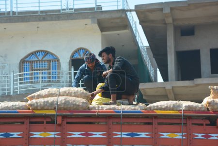 Photo for RAJASTHAN INDIA - 03 04 2023: Men fixe potatoes bags on the top of a truck - Royalty Free Image