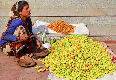 Téléchargez les photos : ORCCHA MADHYA PRADESH INDE - 03 03 2023 : Une femme de la rue vend Ziziphus mauritiana, également connu sous le nom de jujube indien, prune indienne, date chinoise, pomme de Chine, ber, beri et dunks - en image libre de droit