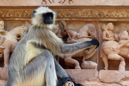 Foto de KHAJURAHO INDIA MADYHA PRADESH - 03 03 2023: Mono en Khajuraho Grupo de Monumentos son un grupo de templos hindúes y jainas famosos por su simbolismo arquitectónico de estilo nagara y algunas esculturas eróticas - Imagen libre de derechos