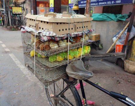 Foto de VARANASI BHOJPUR PURVANCHAL INDIA - 03 05 2023: En jaula Pollo multicolor, pollito en la India. pollitos multicolores teñidos artificialmente por criadores que inyectan huevos con una sustancia química a la producción - Imagen libre de derechos