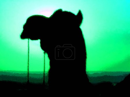 Photo for Camel illustration in the desert of Thar, Jaisalmer, Rajasthan, India - Royalty Free Image
