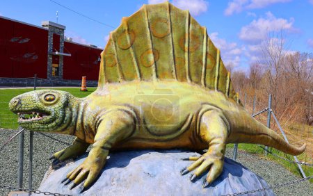Foto de SAINT-LEONARD-D 'ASTON QUEBEC CANADA - 04 15 2023: Dimetrodon significa "dos medidas de dientes, es un género extinto de sinápsido no mamífero que vivió durante el Cisuraliano (Pérmico Temprano)".) - Imagen libre de derechos