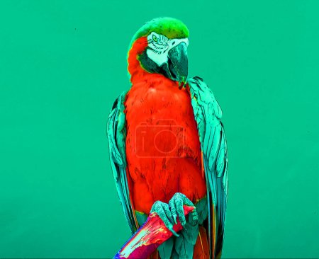 Photo for Illustration with various colors of a Blue-and-Yellow Macaw, also known as the Blue-and-Gold Macaw, is a large blue (top parts) and yellow South American parrot - Royalty Free Image