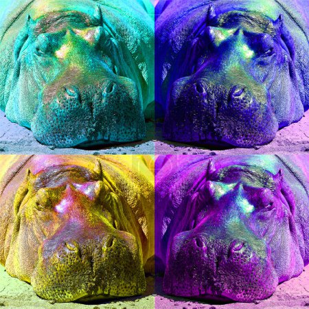 Téléchargez les photos : Hippopotame prenant un bain de soleil signe illustration pop-art icône de fond avec des taches de couleur - en image libre de droit