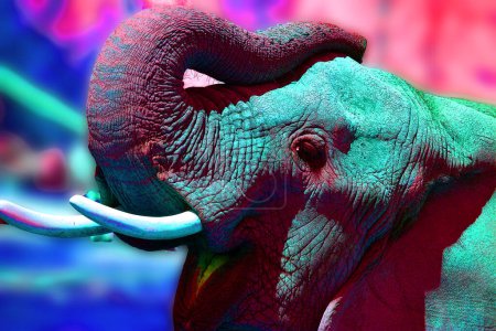 Foto de Icono de elefante de arte pop con manchas de color. - Imagen libre de derechos