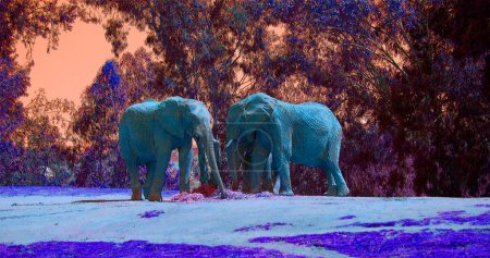 Foto de Icono de elefantes Pop art con manchas de color - Imagen libre de derechos