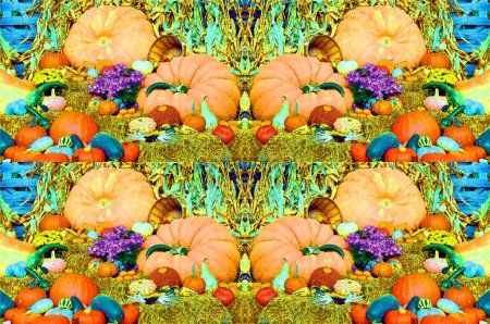Photo for Big assortment of decorative pumpkins and flowers in market. sign illustration background icon with color spots - Royalty Free Image