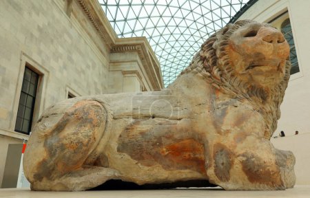 Photo for LONDON UNITED KINGDOM 06 17 2023: Lion of Knidos, a colossal Hellenistic marble statue of a recumbent lion dating from 2nd century BC, displayed in the Great Court of the British Museum. - Royalty Free Image