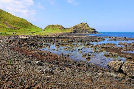 Photo for Scenic view at famous Giant's Causeway, County Antrim, north coast of Northern Ireland - Royalty Free Image