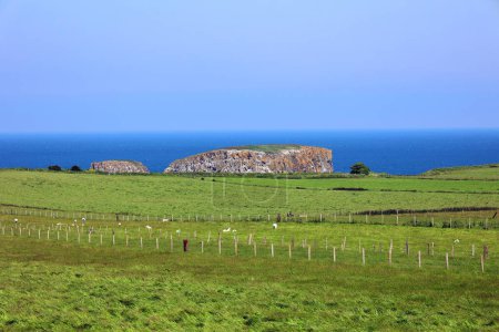 Foto de Vista de la costa del mar y el campo verde - Imagen libre de derechos