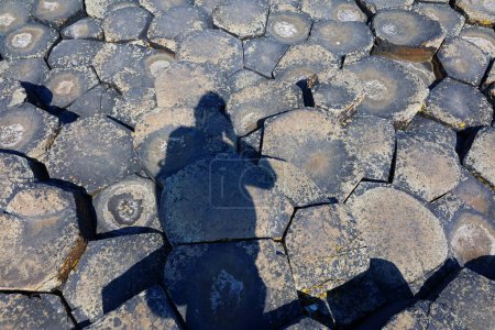Téléchargez les photos : Giant's Causeway est une zone d'environ 40 000 colonnes de basalte entrelacées, le résultat d'une éruption de fissure volcanique ancienne. - en image libre de droit