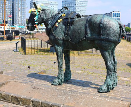 Téléchargez les photos : LIVERPOOL UNITED KINGDOM 06 07 2023: The Liverpool Carters Working Horse monument near the Museum of Liverpool - en image libre de droit