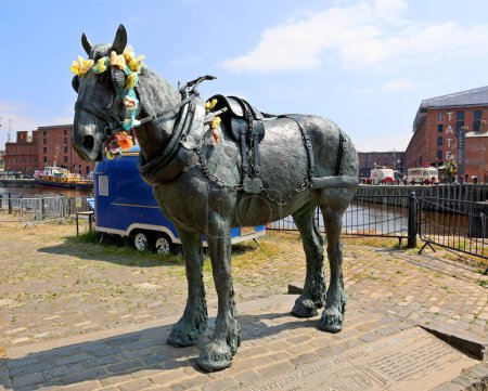 Photo for LIVERPOOL UNITED KINGDOM 06 07 2023: The Liverpool Carters Working Horse monument near the Museum of Liverpool - Royalty Free Image