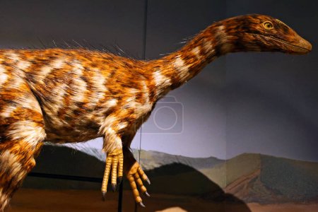 Téléchargez les photos : CARDIFF WALES ROYAUME-UNI 06 17 23 : Dracoraptor est un genre de dinosaures coelophysoïdes qui a vécu pendant la période hettangienne du Jurassique inférieur de ce qui est maintenant le Pays de Galles. - en image libre de droit