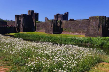 Téléchargez les photos : Plan panoramique de l'ancien château de Caerphilly au Pays de Galles, Royaume-Uni - en image libre de droit