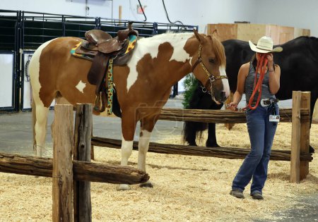 Foto de SAINT HYACINTHE QUEBEC CANADA 08 03 2023: Ferias agrícolas Expo Saint-Hyacinthe. Horse Dressage un término francés para "entrenamiento") es una forma de montar a caballo realizada en la exposición - Imagen libre de derechos