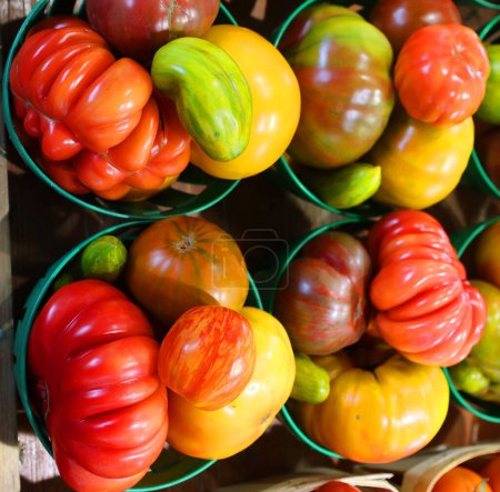Foto de Coloridos tomates vintage Herencia verduras - Imagen libre de derechos
