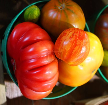 Foto de Coloridos tomates vintage Herencia verduras - Imagen libre de derechos