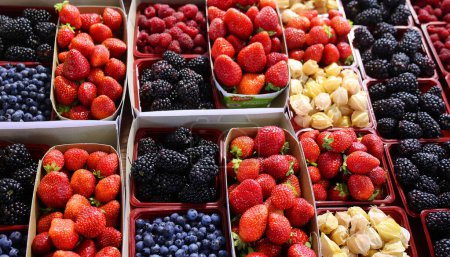 Téléchargez les photos : Fruits frais sur le marché, gros plan - en image libre de droit