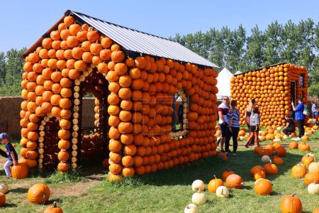 Photo for The most original pumpkin village  CitrouilleVille - Royalty Free Image