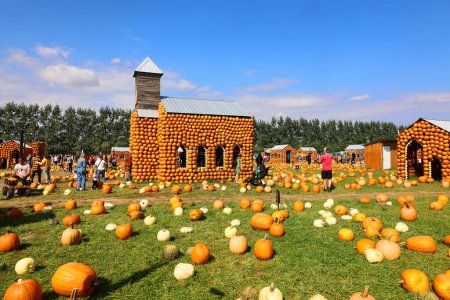 Photo for The most original pumpkin village  CitrouilleVille - Royalty Free Image
