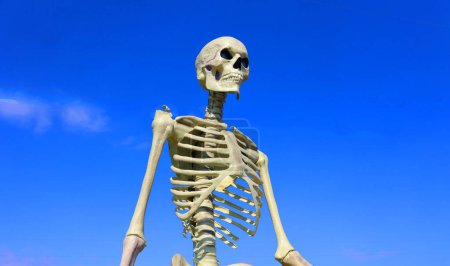 Foto de Esqueleto humano en el cielo azul - Imagen libre de derechos