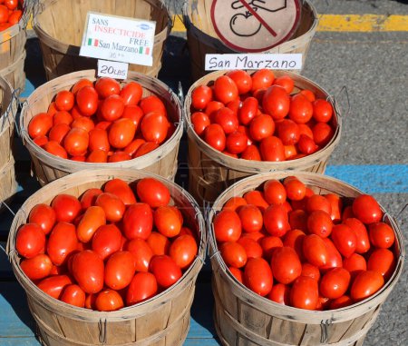 Foto de Los tomates de San Marzano en el Mercado Jean-Talon son un mercado de agricultores - Imagen libre de derechos