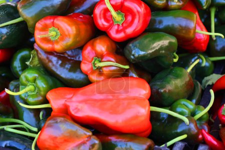 Photo for Fresh organic bell peppers capsicum on display for sale at local farmer's market departmental store. - Royalty Free Image