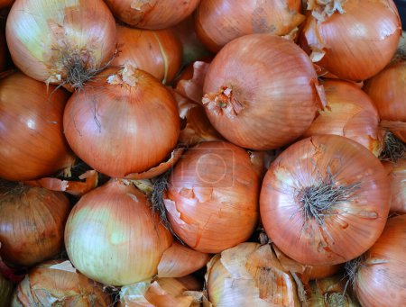 Photo for Fresh onions. Colorful Display Of Yellow Onions In Market. - Royalty Free Image
