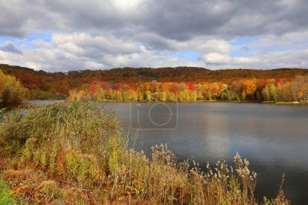 Photo for North America fall landscape eastern township Bromont-Shefford Quebec province Canada - Royalty Free Image