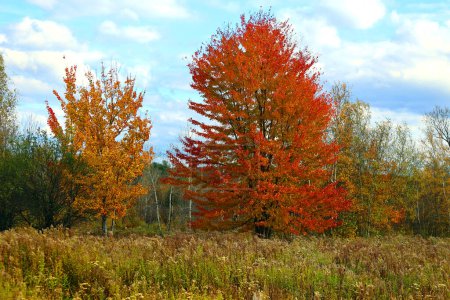 Téléchargez les photos : Amérique du Nord automne paysage canton est Bromont-Shefford Québec province Canada - en image libre de droit