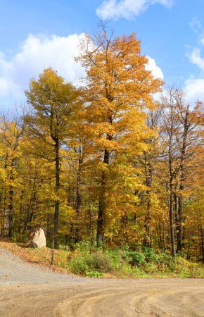 Téléchargez les photos : Amérique du Nord automne paysage canton est Bromont-Shefford Québec province Canada - en image libre de droit