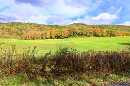 Téléchargez les photos : Paysage automnal avec forêt colorée et ciel bleu - en image libre de droit